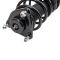 Strut & Spring Assembly