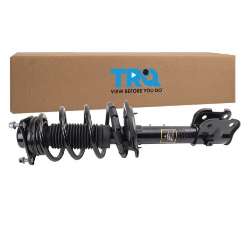 Strut & Spring Assembly
