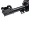 Strut & Spring Assembly