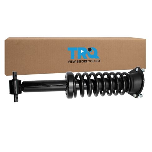 Strut & Spring Assembly