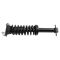 Strut & Spring Assembly
