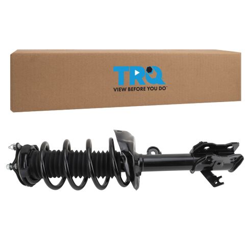 Strut & Spring Assembly