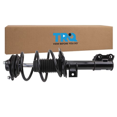 Strut & Spring Assembly