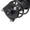 Strut & Spring Assembly