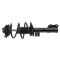 Strut & Spring Assembly