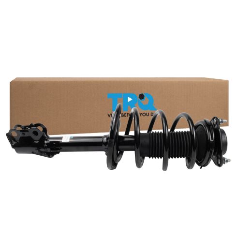 Strut & Spring Assembly