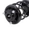 Strut & Spring Assembly
