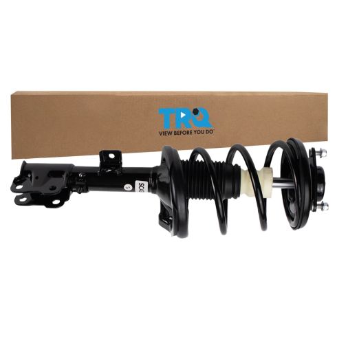 Strut & Spring Assembly