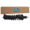 Shock & Spring Assembly