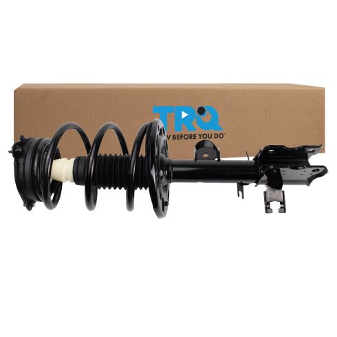 Strut & Spring Assembly