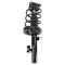 Strut & Spring Assembly