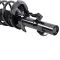 Strut & Spring Assembly