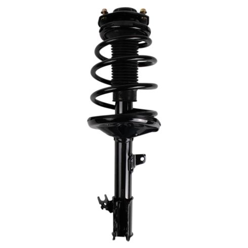 Strut & Spring Assembly