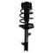 Strut & Spring Assembly