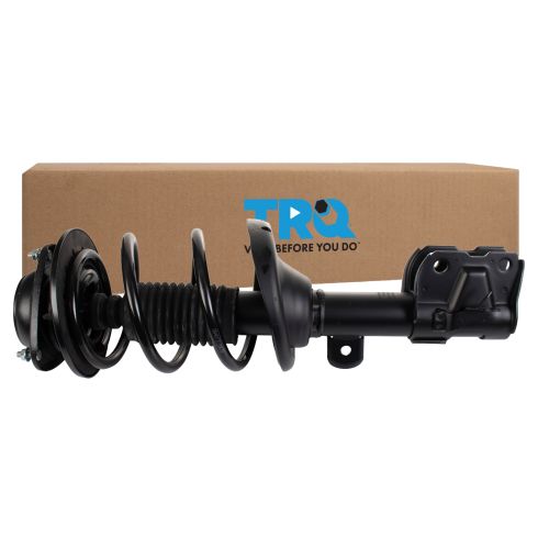 Strut & Spring Assembly