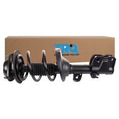 Strut & Spring Assembly