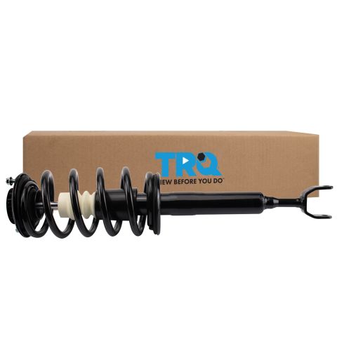 Strut & Spring Assembly