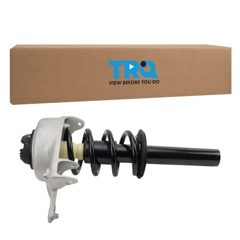 Strut & Spring Assembly