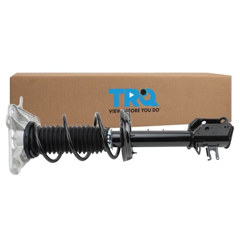 Strut & Spring Assembly