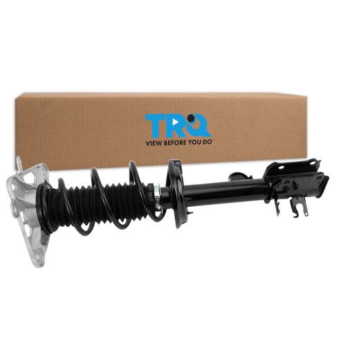 Strut & Spring Assembly