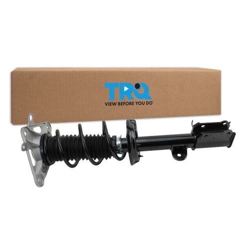 Strut & Spring Assembly