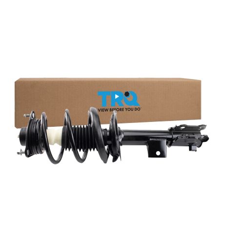 Strut & Spring Assembly