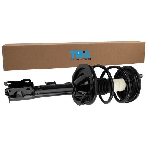 Strut & Spring Assembly