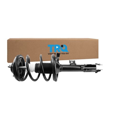 Strut & Spring Assembly