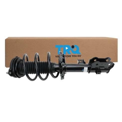 Strut & Spring Assembly