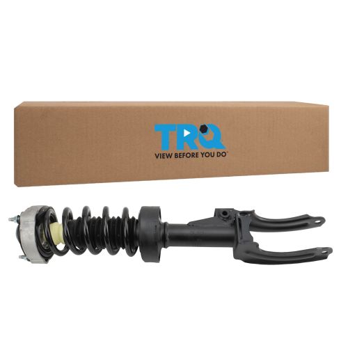 Strut & Spring Assembly