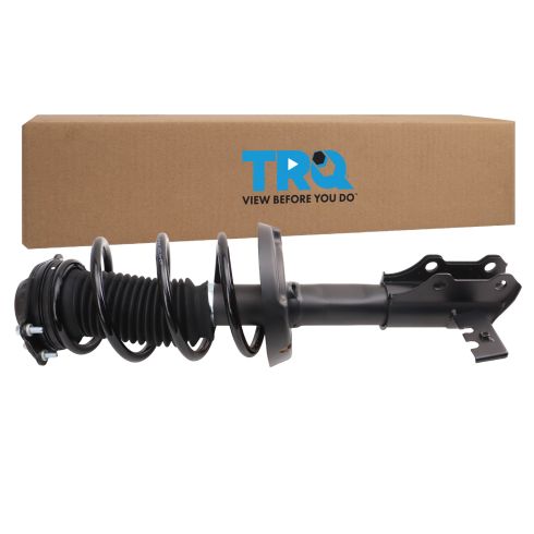 Strut & Spring Assembly