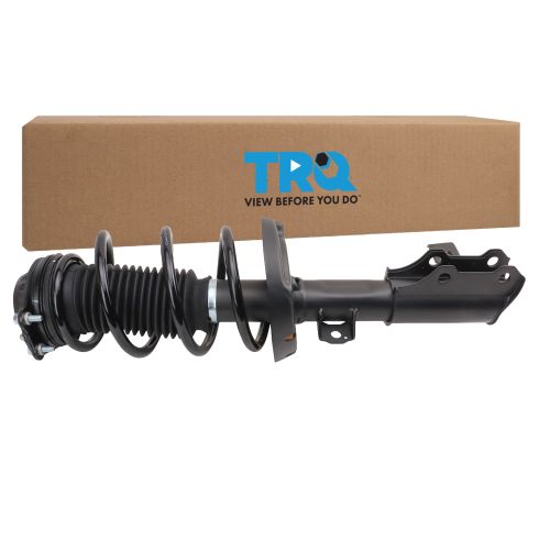 Strut & Spring Assembly