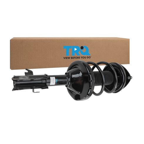 Strut & Spring Assembly