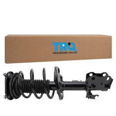 Strut & Spring Assembly