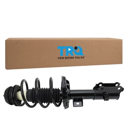 Strut & Spring Assembly