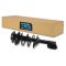 03-04 Subaru Legacy Front Strut & Spring Assembly RF