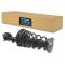 05-10 Sportage; 05-09 Tucson Rear Strut & Spring Assembly RR
