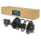 04-08 Maxima Front Strut & Spring Assembly RF