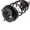 Strut & Spring Assembly