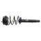 Strut & Spring Assembly
