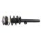 Strut & Spring Assembly