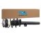 Strut & Spring Assembly