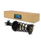 03-08 Tiburon 2.0L; GT (w/o Sport Suspension) Rear Strut & Spring Assembly LR