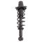 Strut & Spring Assembly