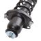 Strut & Spring Assembly
