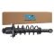Strut & Spring Assembly