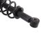 Strut & Spring Assembly