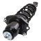 Strut & Spring Assembly