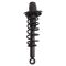 Strut & Spring Assembly