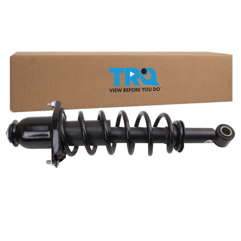 Strut & Spring Assembly